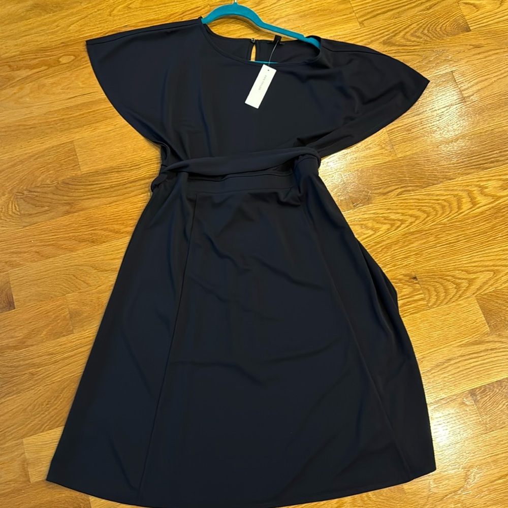 Navy Ann Taylor Dress